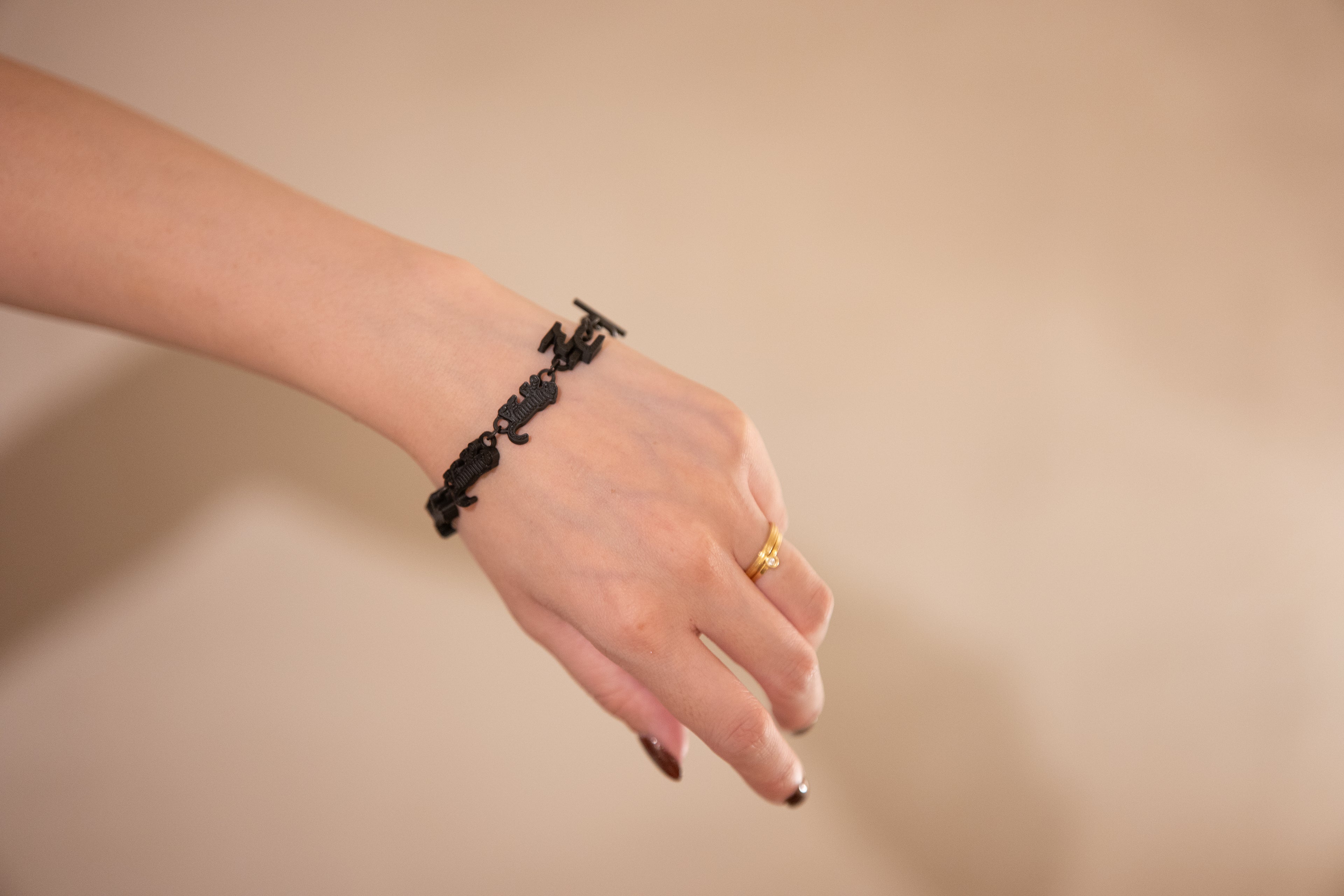 Toratachi no Bracelet